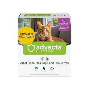 Plus Flea Prevention For Cats, Cat and Kitten Treatment & Control, Small and Large, Fast Acting Waterproof Topical Drops, 4 Month Supply