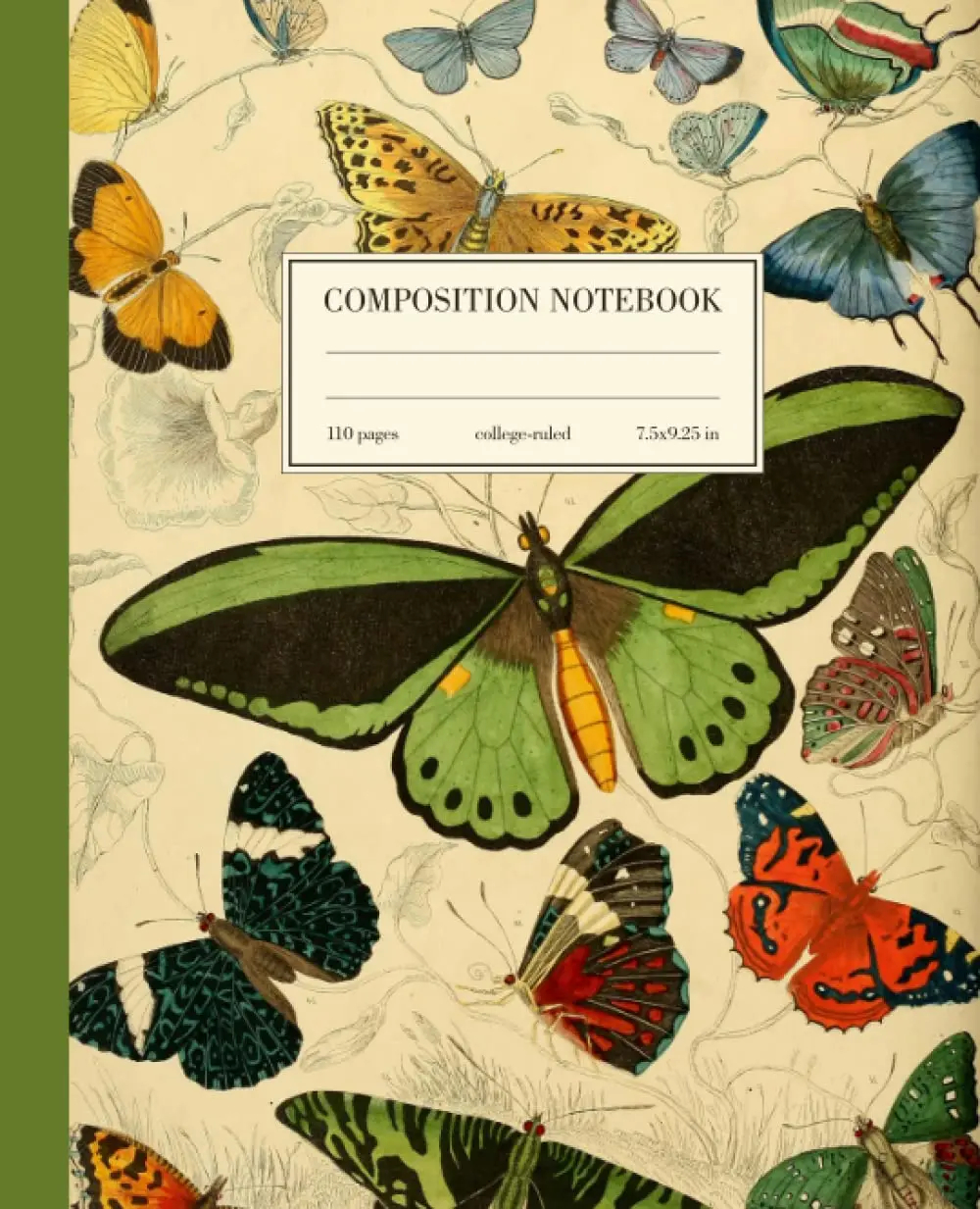 Composition Notebook College Ruled: Green Butterfly Vintage Botanical Illustration | Cute Aesthetic Journal For School, College, Office, Work | Wide Lined