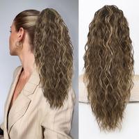 Chocolate Brown with Highlights