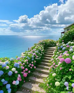 50 Pcs Giant Hydrangea Seeds for Planting – Hydrangea Arborescens, Snowball Hydrangea, Fast-Growing Shrub – Great for Cut Flowers and Outdoor Gardens