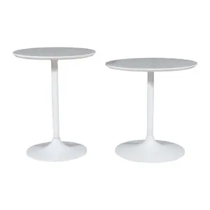 Camille Solid Marble and Iron Modern Luxury Accent Tables (Set of 2)