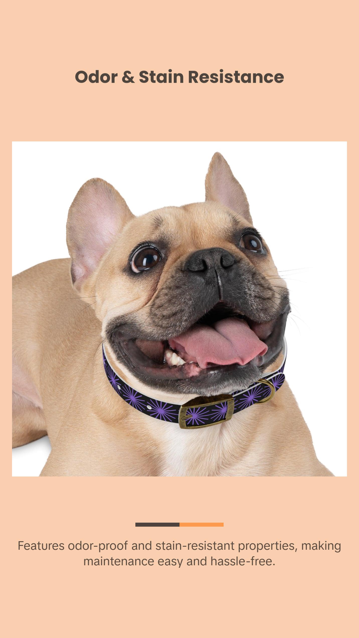 Black and purple star dog collar