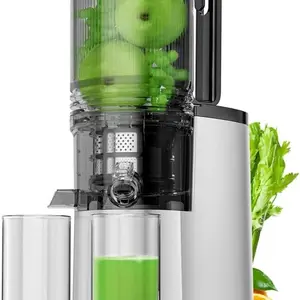 Cold Press Juicer 5.4 Extra Large Feed Chute 350W Professional Slow Masticating Juicer Machines Easy to Clean for Whole Fruits & Vegetables
