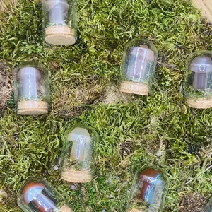 Crystal Mushroom Terrarium
