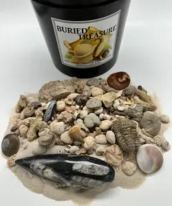 1 GALLON FOSSIL MINING BUCKET