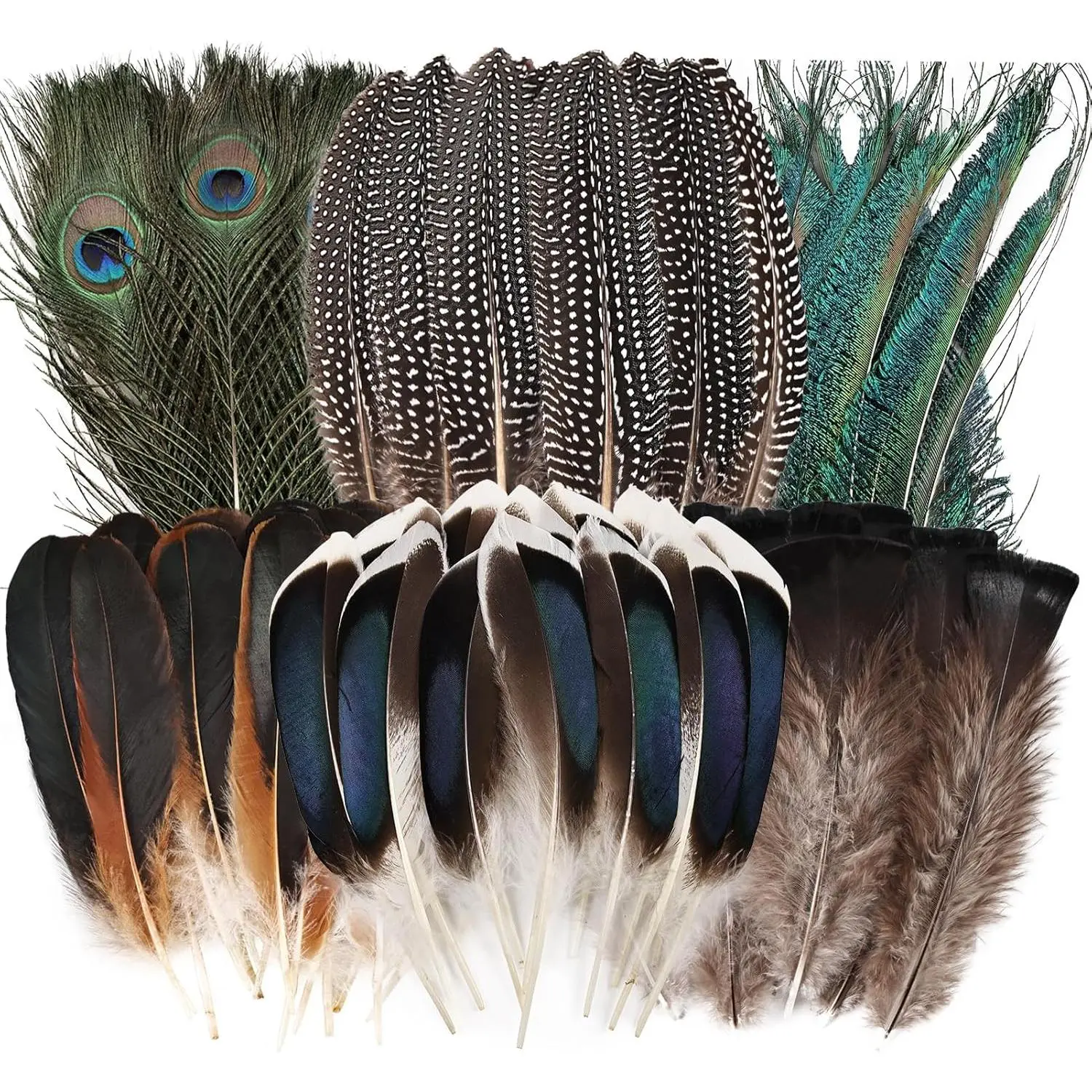 30 count  Feathers Bulk-6 Style  Decorative Spotted Feathers,Peacock ,Peacock Swords,Turkey Feathers for DIY Crafts Wedding  Party Decoration