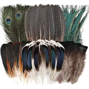 30 count  Feathers Bulk-6 Style  Decorative Spotted Feathers,Peacock ,Peacock Swords,Turkey Feathers for DIY Crafts Wedding  Party Decoration