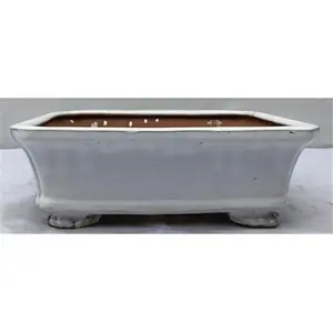 Ceramic Bonsai Pot, White - Rectangle