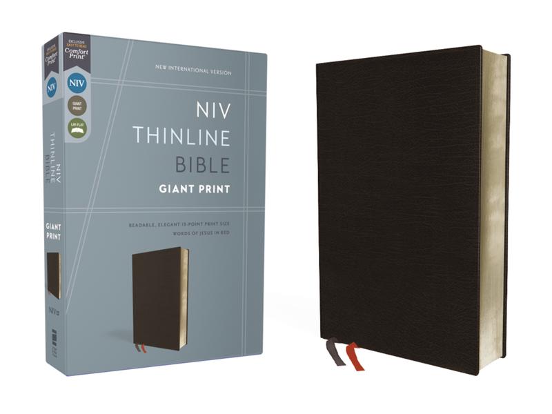 NIV, Thinline Bible, Giant Print, Bonded Leather, Black, Red Letter, Comfort Print by Zondervan [Leatherbound Book]