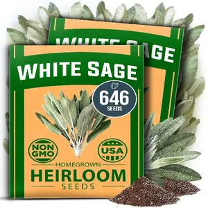 HOME GROWN White Sage Seeds Pack - 646 Bulk Non-GMO Heirloom Seeds - Grow Aromatic Sage Plants for Your Herb Seeds Garden with Sage Seeds for Planting Outdoor or Indoor (Salvia apiana)
