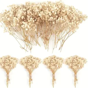 120 Pcs Mini Dried Baby Breath Flowers Gypsophila Ivory Flowers Dried Flowers for Vase Wedding Home Office Party Garden Card Making Decor Wreath Floral Craft DIY Art (White)