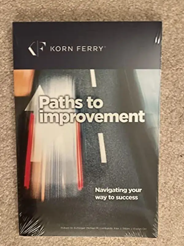 USED-Paths to Improvement Navigating your Way to Success by Robert W Eichinger (Paperback)