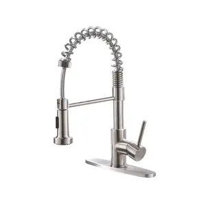 Stainless Steel Kitchen Faucet, Farmhouse Design with Pull Down Sprayer, Brushed Nickel Finish for Kitchen Sink