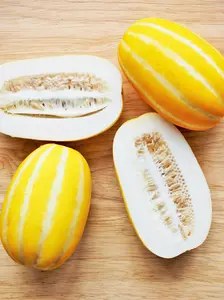 TomorrowSeeds - Korean Melon Seeds -  Chamoe Yellow White Oriental Japanese Cantaloupe Ginkaku Makuwa Garden Asian Fruit Seed For 2024 Season
