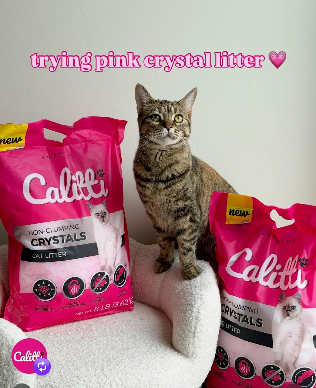 Calitti CRYSTALS Non-Clumping Unscented 8 LB #223451