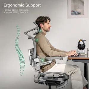 Hinomi H2 Pro Ergonomic Office Chair with Optional Footrest
