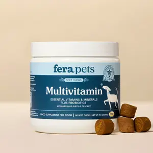 Multivitamin Soft Chews for Dogs, Essential Vitamins & Minerals Plus Probiotics, 90 ct