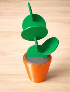 Cactus Plant Coaster Decor