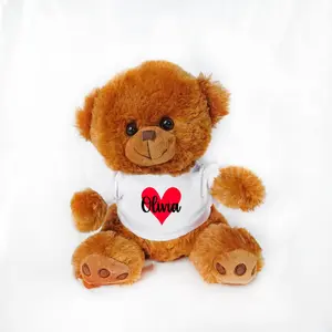 Personalized Teddy Bear: Custom Plush Bear