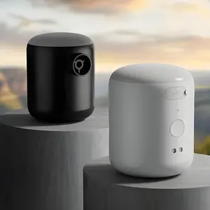 Wireless outdoor electric inflatable pump camping lighting camping lamp inflatable bed mini multifunctional inflatable pump outdoor wireless inflatable pump air cushion bed inflatable mattress sofa air pump swimming pool small exhaust