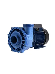 1 Speed 2 HP 48F 230V Spa Pump with 8 ft. Amp Cord