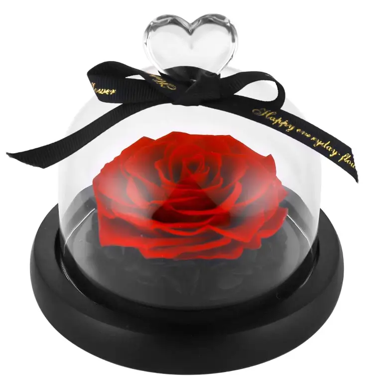 Preserved Real Roses Eternal Rose in Glass Dome Gift for Her Valentine's Day Decor Decorative Flower Plants Ornaments