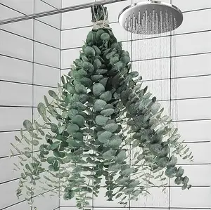 11 PCS Real Dried Eucalyptus Stems for Shower Hanging-17'' Large Preserved Eucalyptus Shower Plants Stuff for Shower Decor Decorative Fruit Leaf