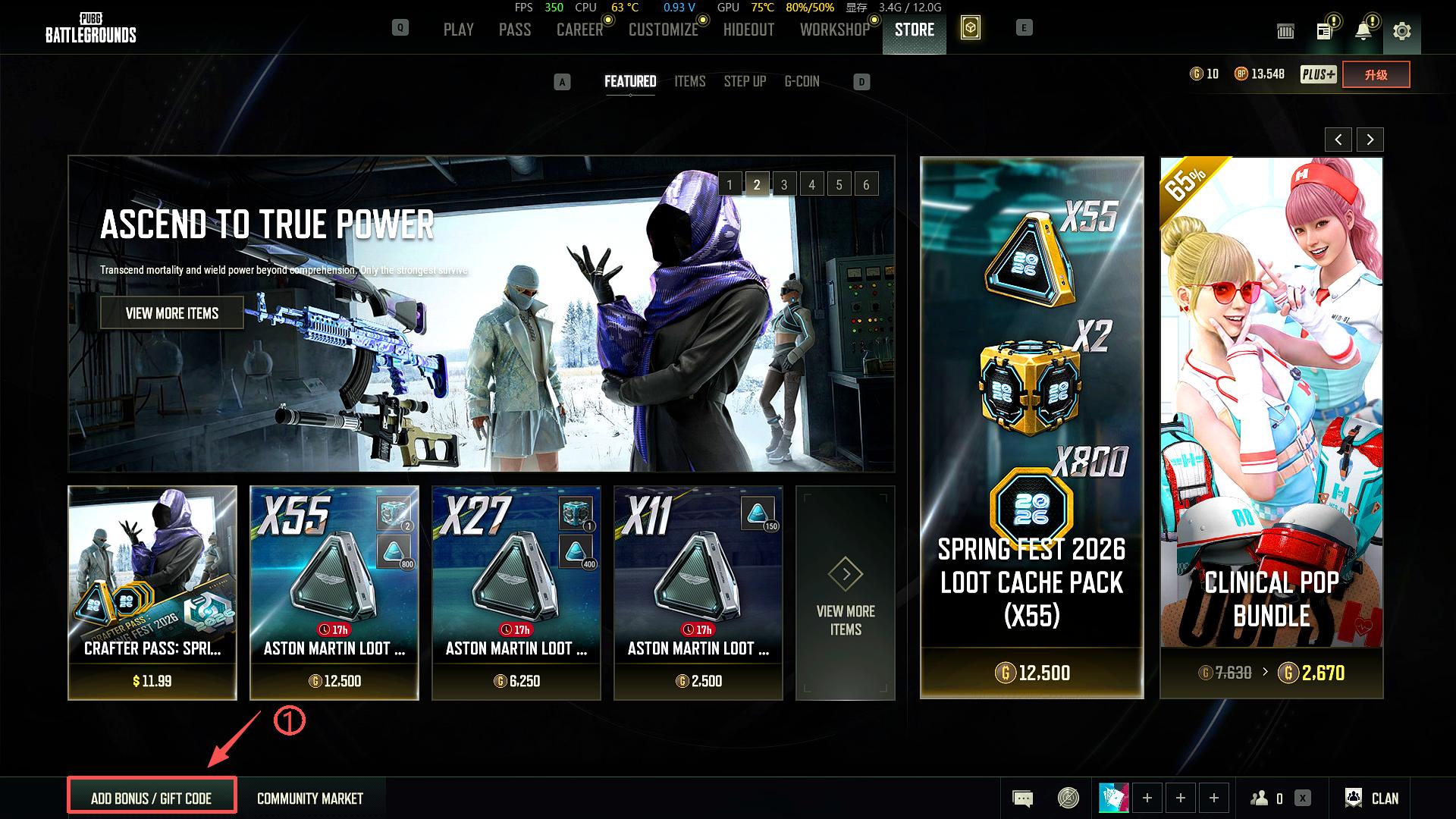 P.U.B.G G-Coin （PC ONLY, and the G-Coins can only be activated with a Steam PUBG account）