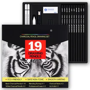 Charcoal Drawing Set, 19 count, Black & White Charcoal Pencils for Drawing, Sketching, Shading, Blending, Artist Pencils for Beginners & Pro Artists
