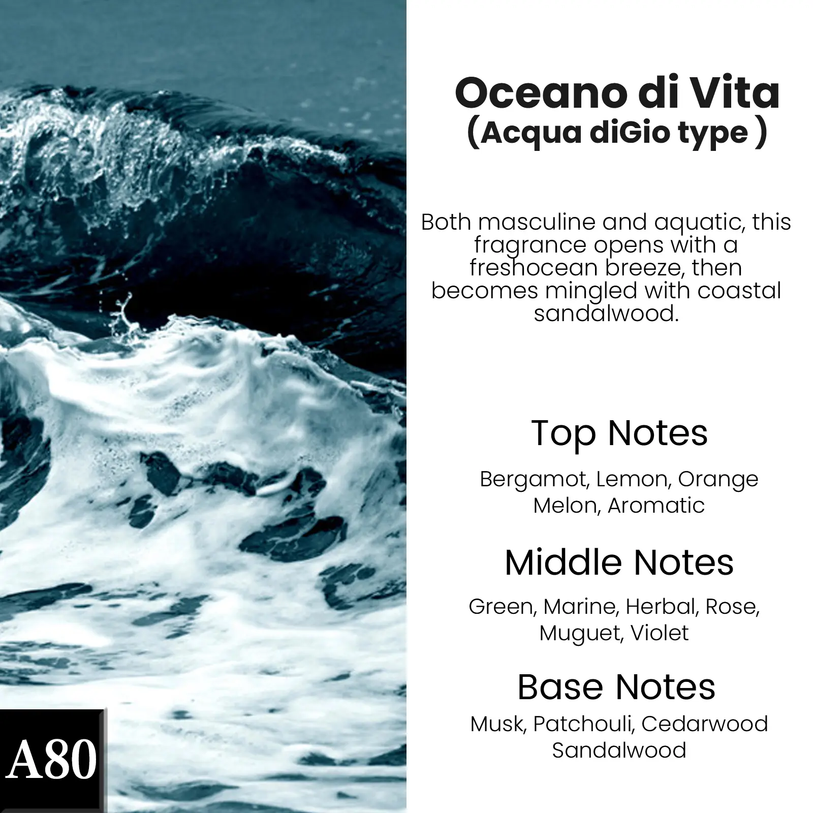 A80-Oceano di Vita