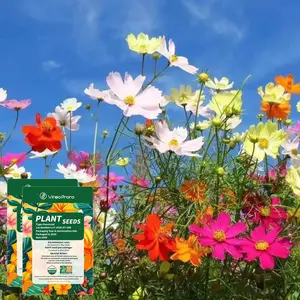 Bulk Wildflower Seeds Annual Quick Blooming Mix - 1/4 Pound Bag - Over 500 Open Pollinated Seeds Wildflower Seeds Bulk Mix Perennial & Annual Seeds - Texas, California & Florida Native Wildflower Seeds for Hummingbirds, Butterflies, & Cut Flowers