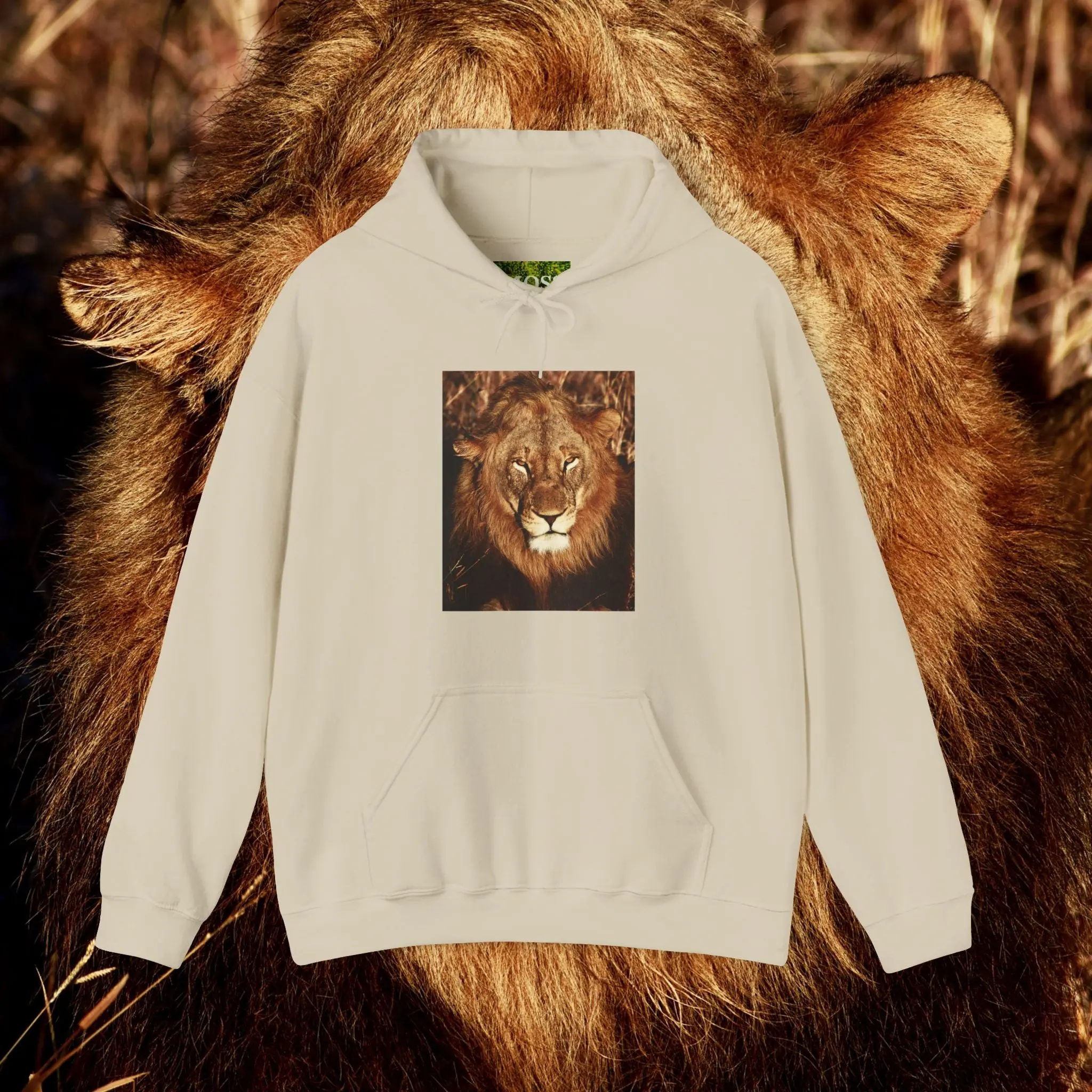 MOSS, Rise and Shine Lion: Unisex Heavy Blend™ Hooded Sweatshirt