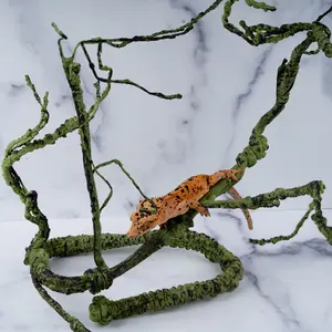 Altitude Exotics Premier Climbing Vine- Dark Green