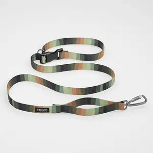 Earthtone Rainbow Everyday Leash™