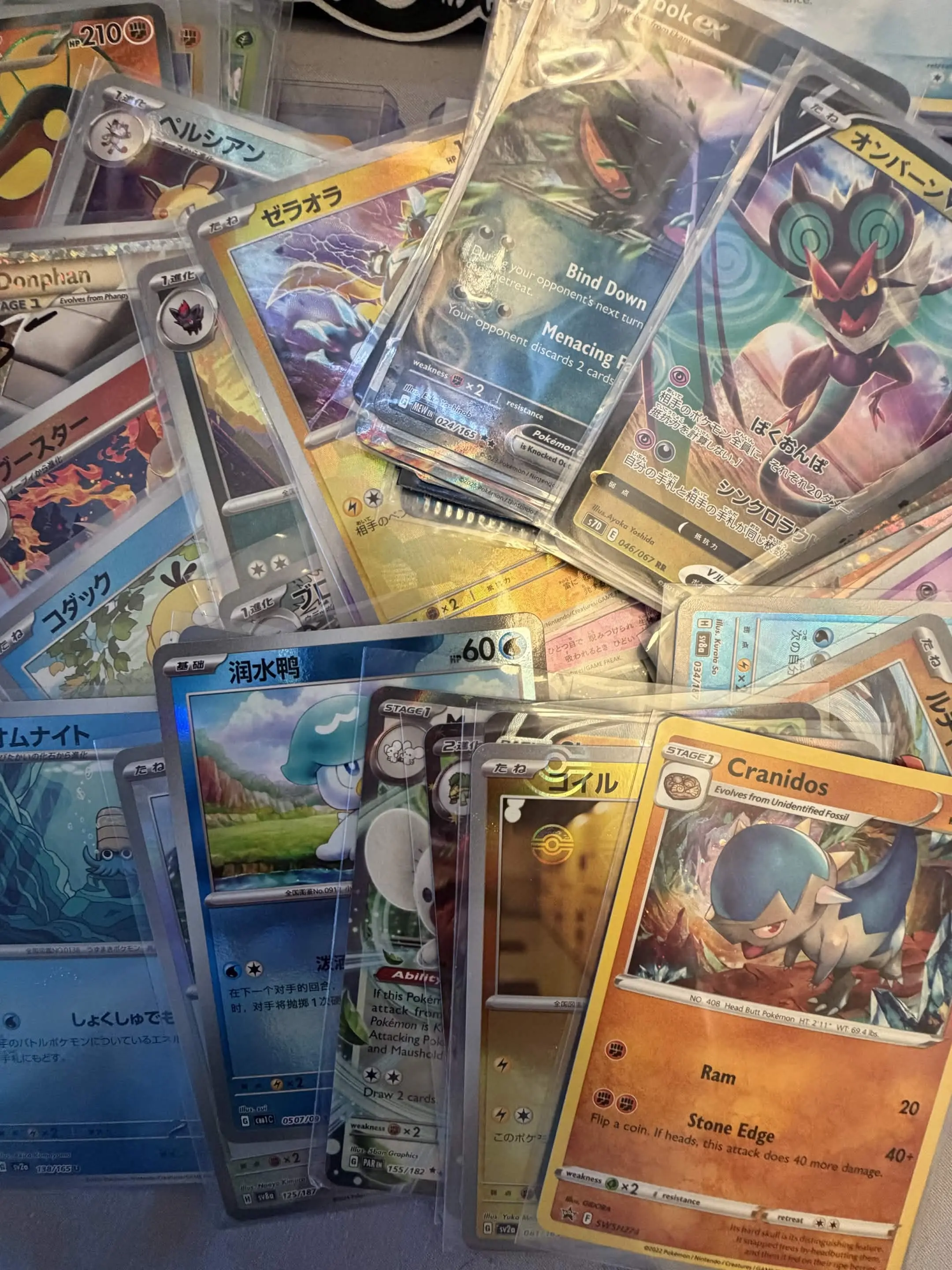 Dolla Cards