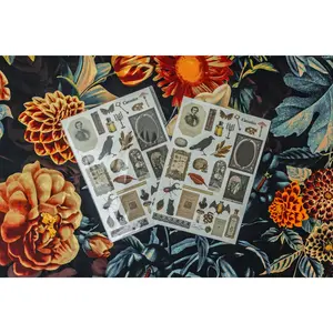 Curiosities Sticker Sheet