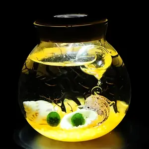 Phecda - Enchanting Live Aquatic Plant Decor, Big Dipper Bottle Ecosystem, Cute Marimo Moss Ball Micro-Landscape, Self-Sustaining Crystal Garden for Desk Zen (Includes 2 Live Marimo Pets)