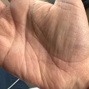 review image 6