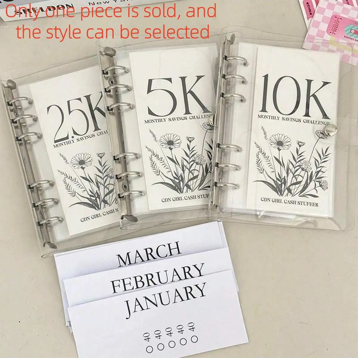 Vertical Savings Journal with 6-Ring Binder, 12-Month Cash Challenge Diary, Daily Coin Savings Tracker and Budget Planner
