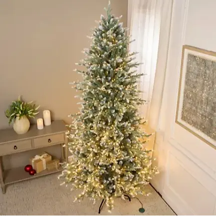 Snow Spruce