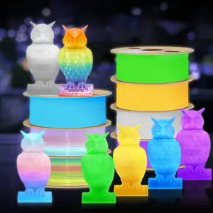 Glow in dark PLA Filament,250g(8.8oz) Gradient 3D Printer Filament Color Change and blue green purple, 3D Printer Accessories for Home & Office
