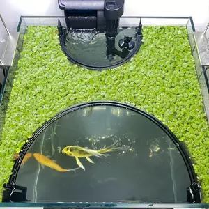 Floating  Corral for Aquarium, Fish Tank Accessories to Protects Duckweed from Filters, Automatically Adjusts Height According to Water Level, Suitable for  Duckweed and  aquariums(Style 2)
