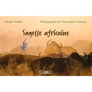 USED-Sagesse africaine by Joseph Andjou (Paperback)