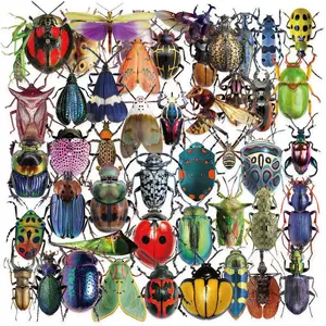50pcs Cartoon Insect Transparent PET Material Graffiti Stickers - Suitable for Luggage, Phone Cases, Laptops, Helmets, Skateboards, Waterproof Decorative DIY Creative Stickers