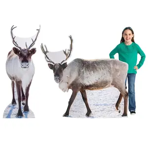 Christmas Reindeer Cardboard Cutout Stand-Ups - 2 Pc.