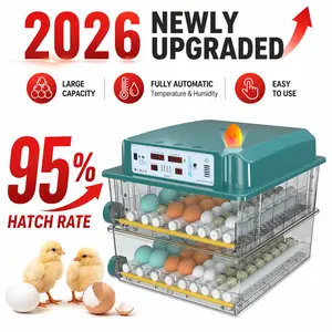 The 120-Egg Fully Automatic Incubator features precise temperature control and an automatic egg-turning function; designed specifically for farm use, it is a fully automated incubation device suitable for hatching eggs from chickens, ducks, geese, quail