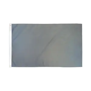 Gray Solid Color Poly Flag, 3x5ft Mint Neutral-Tone Banner with Reinforced Stitch for Event Backdrop