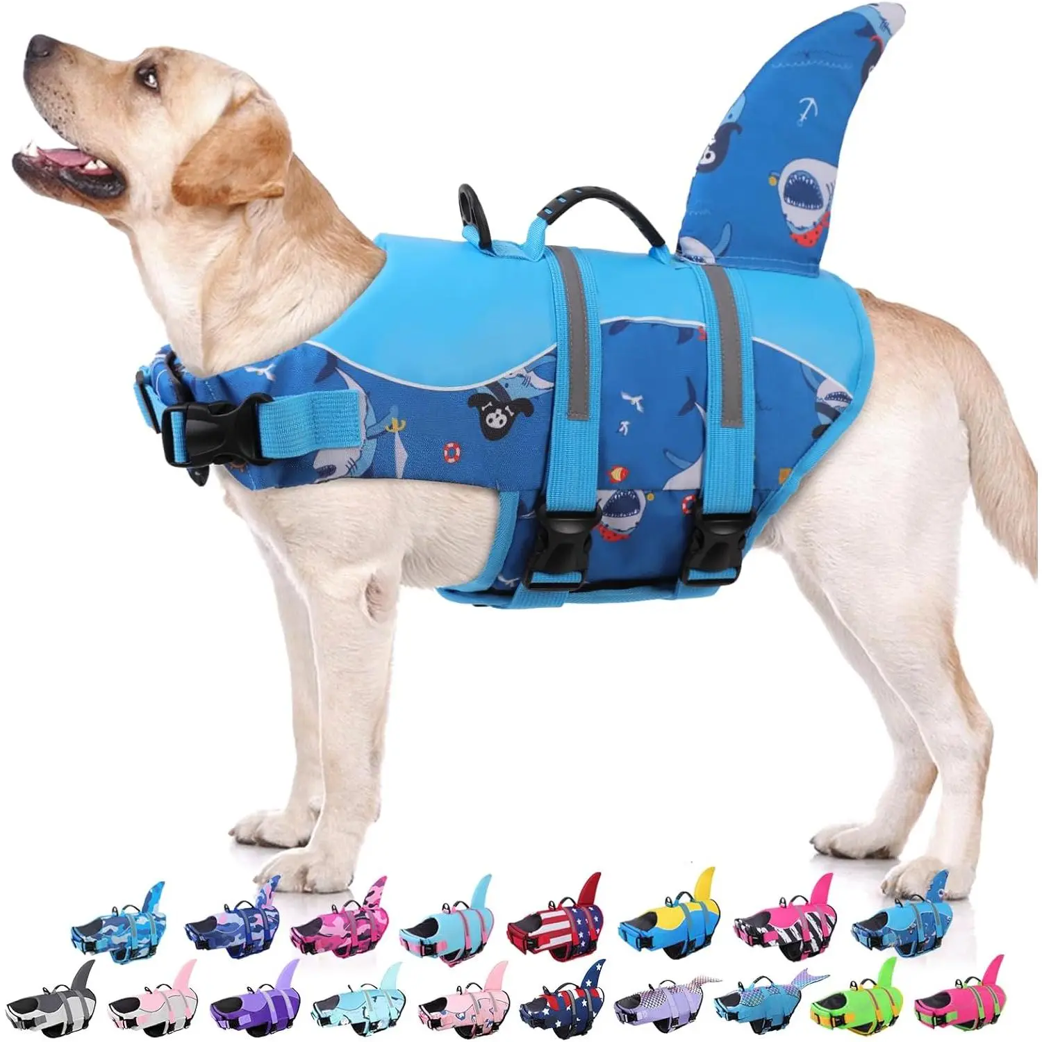 Blue Pirate Shark