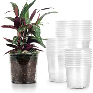 30 Pack 5/6/7 Inch Reinforced Clear  Pots with Drainage Holes,  Pots for  Variety Pack, Transparent Plastic  Pots for Seedlings, Seed Starters