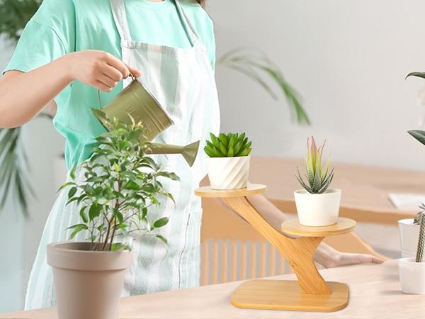 3-Tier Bamboo Succulent Planter Set - Aesthetic Desk Plant Stand Gift with 3 Ceramic Pots